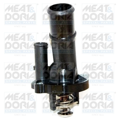 Thermostat, coolant